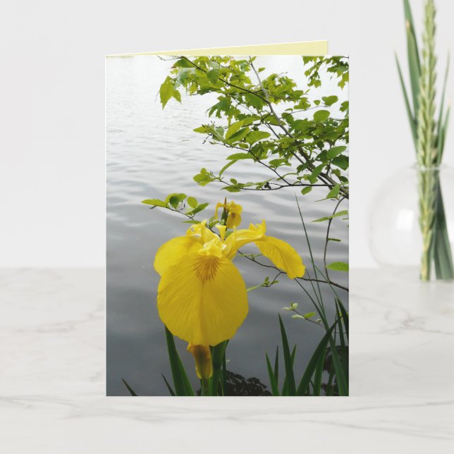 Wildes Gelb Karte (Vorderseite)