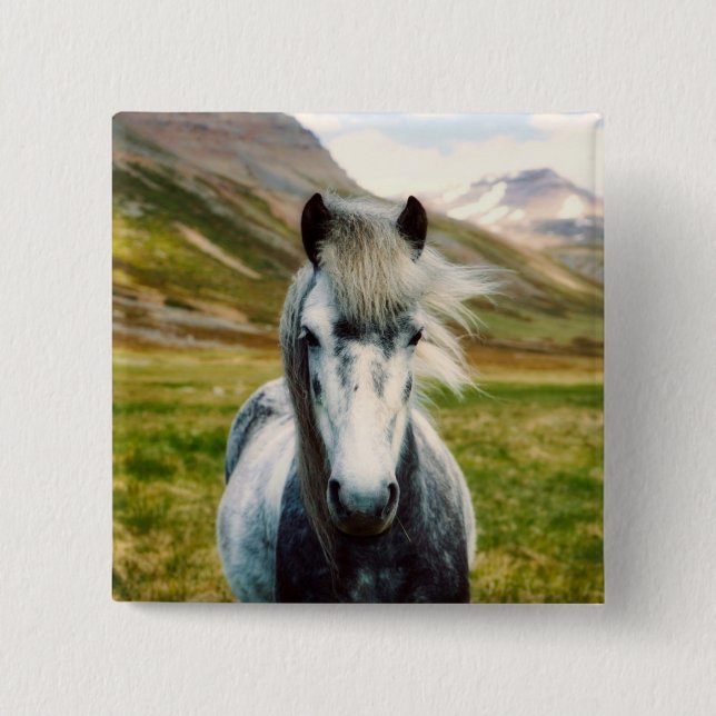 Wildes graues Pferd in den Bergen Button (Vorderseite)