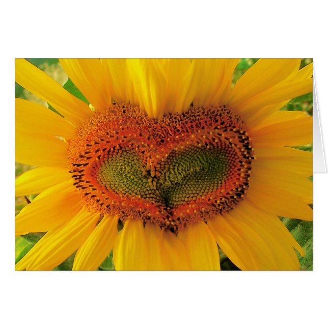 Wildes Herz, Sonnenblumeherzkarte, Liebe, wedding (Vorderseite (Horizontal))