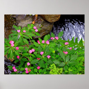 Wildes Impatiens und Farne Poster