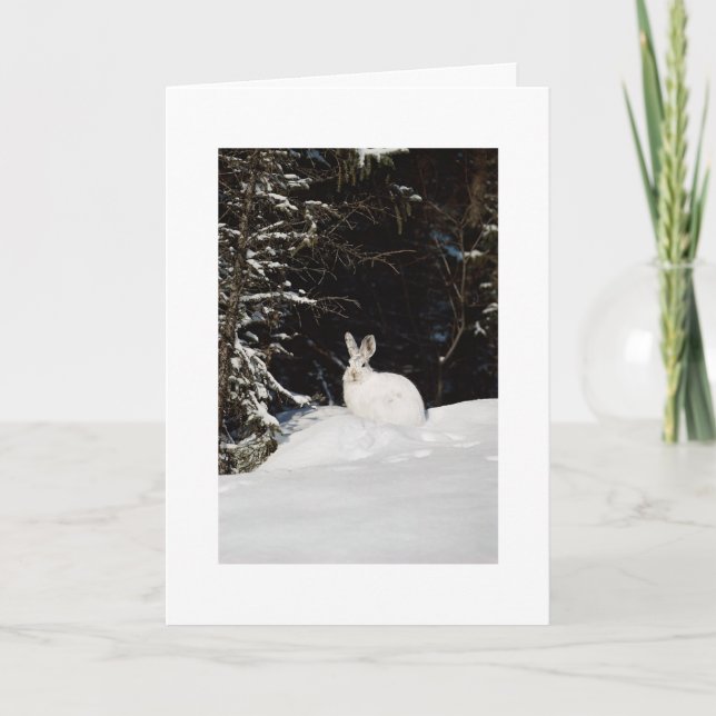 Wildes Kaninchen im Schnee Weihnachten Weihnachten (Vorderseite)