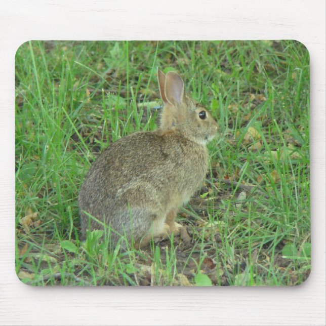 Wildes Kaninchen-Stillstehen Mousepad (Vorne)
