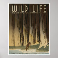 Wildes Leben: National Parkservice