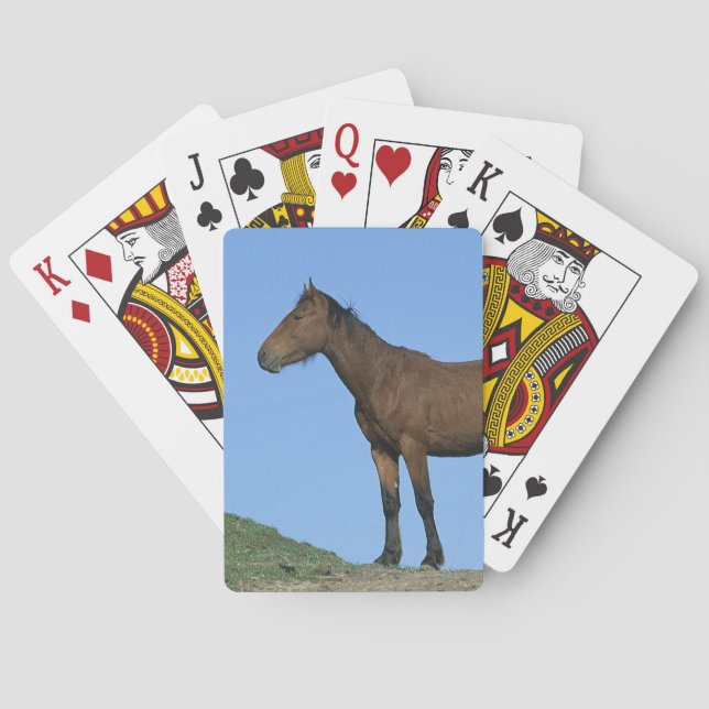 Wildes Mustang-Pferd Spielkarten (Rückseite)