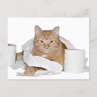 wildes Party Postkarte