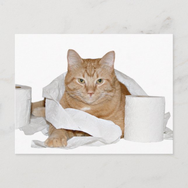 wildes Party Postkarte (Vorderseite)