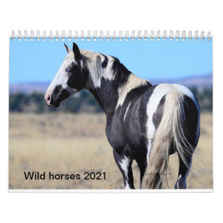 Wildes Pferd 2018, Kalander, fotografisch von Caro Kalender