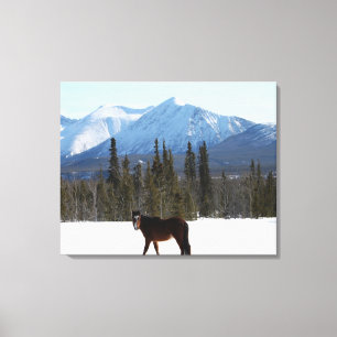 Wildes Pferd auf dem Alaska Highway Leinwanddruck