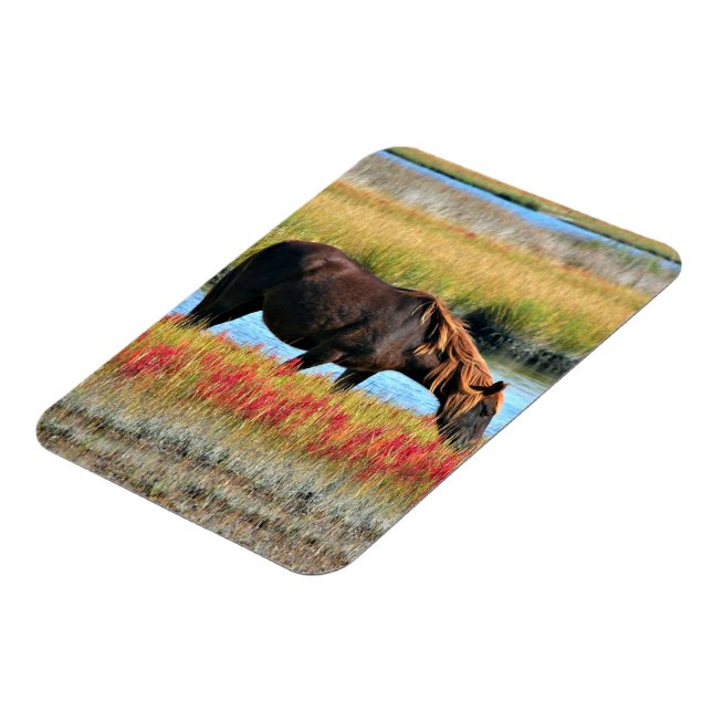 Wildes Pferd, das auf dem Feld isst Magnet (Linke Seite)