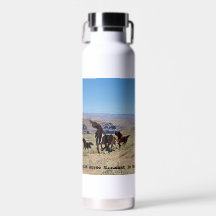 Wildes Pferd Denkmal Wasser Flasche