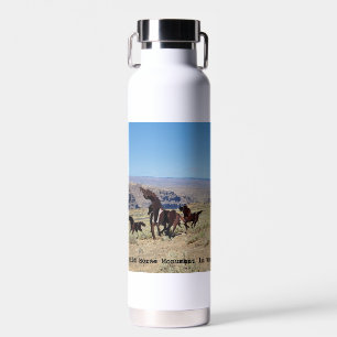 Wildes Pferd Denkmal Wasser Flasche