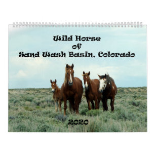 Wildes Pferd im Sandwaschbecken Kalender