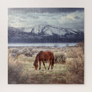 Wildes Pferd: Nevada Winterlandschaft.