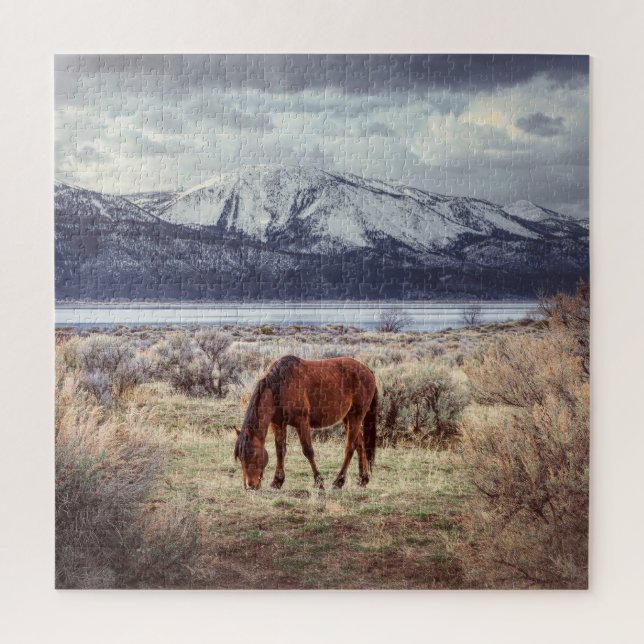 Wildes Pferd: Nevada Winterlandschaft. (Vertikal)