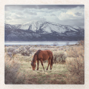 Wildes Pferd: Nevada Winterlandschaft. Glasuntersetzer