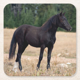 Wildes Pferd Rechteckiger Pappuntersetzer