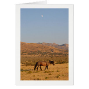 Wildes Pferd Zuhause aus Wasserloch mit Mond