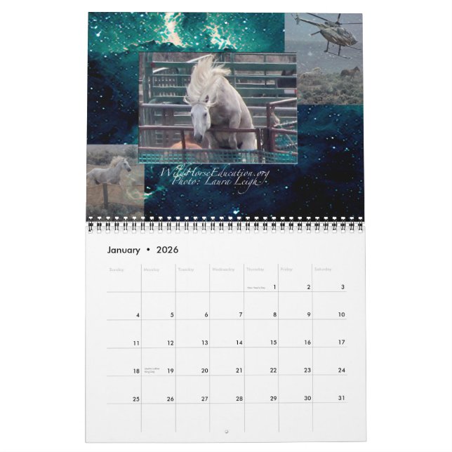 Wildes PferdeBildung… ein Kalender (Jan 2026)