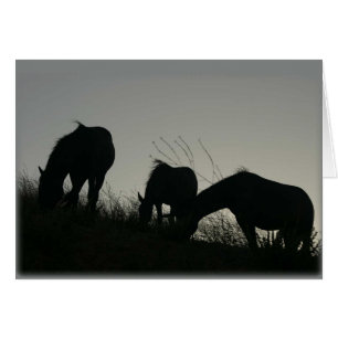 Wildes PferdeSilhouetten