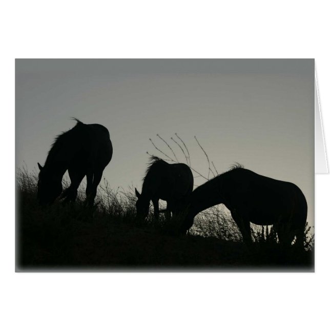 Wildes PferdeSilhouetten (Vorderseite (Horizontal))