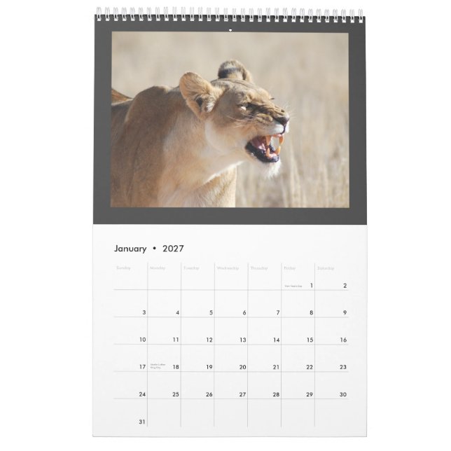 Wildes Tier Afrika 2013 PERSONIFIZIEREN Kalender (Jan 2027)