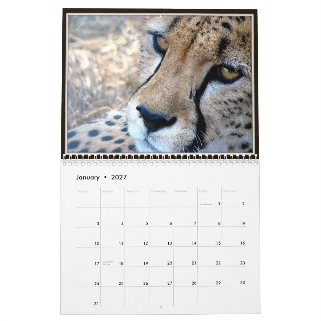 Wildes Tier-Gesichter Kalender (Jan 2027)