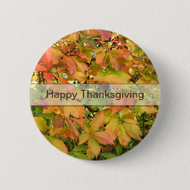 Wildes Weinstock-Blätter des Herbstes Button