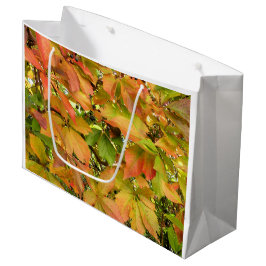 Wildes Weinstock-Blätter des Herbstes Große Geschenktüte