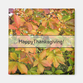 Wildes Weinstock-Blätter des Herbstes Magnet