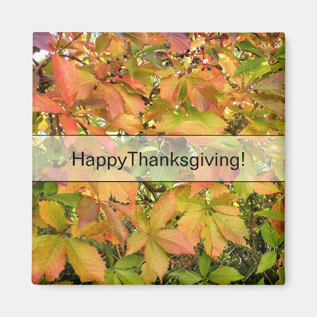 Wildes Weinstock-Blätter des Herbstes Magnet (Vorne)