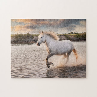 Wildes Weiße Pferd