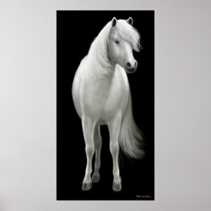 Wildes weißes Pferdeplakat Poster