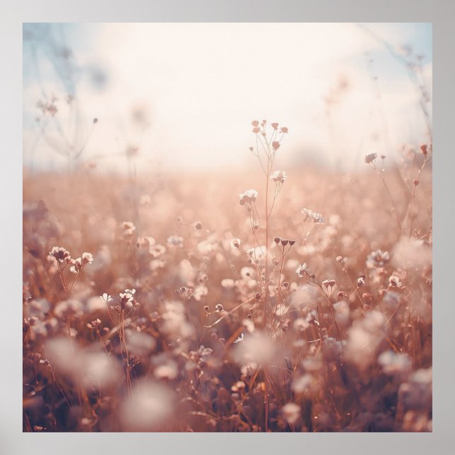 Wildflower Dreamscape  Poster (Vorne)