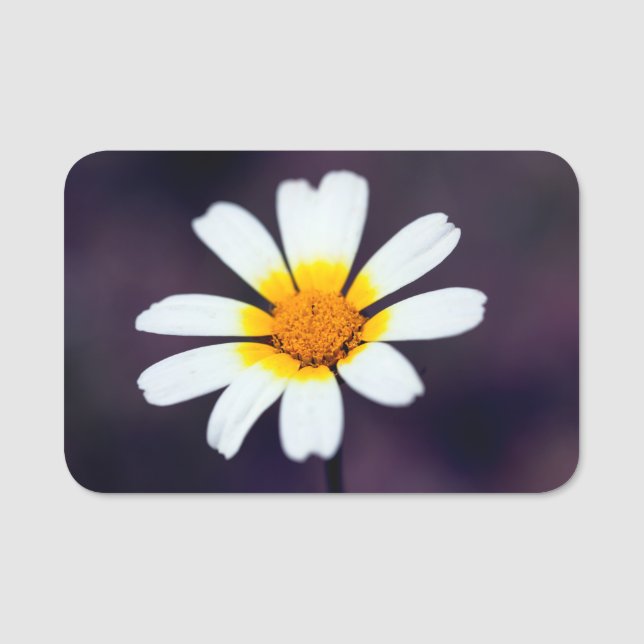Wildflower Namensschild (Vorderseite)
