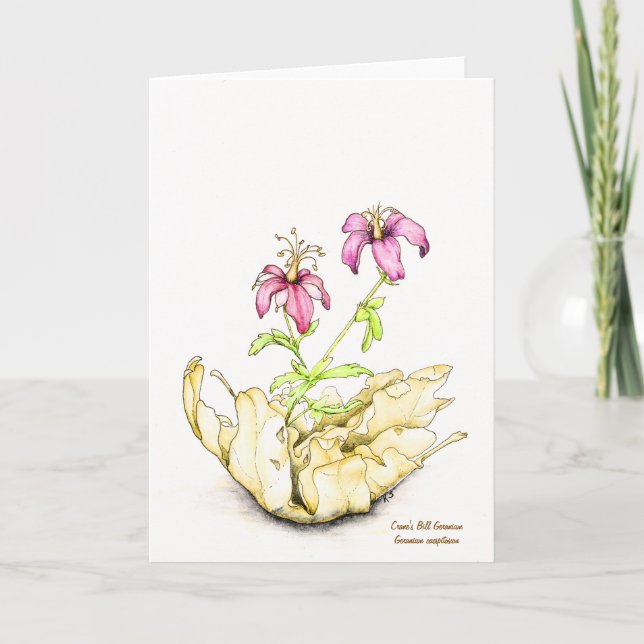 Wildflower watercolor geranium blank inside karte (Vorderseite)
