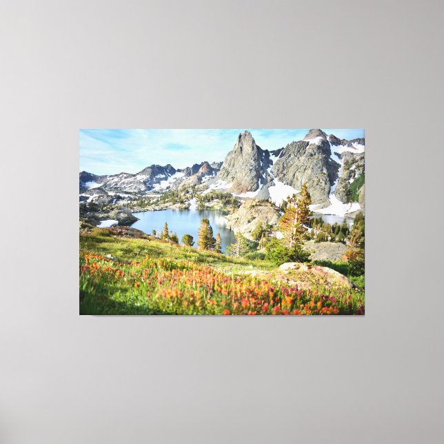 Wildflowers at Minaret Lake Leinwanddruck (Vorderseite)