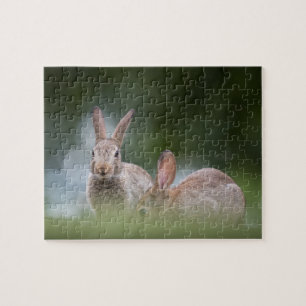 Wildfoto von Kaninchen