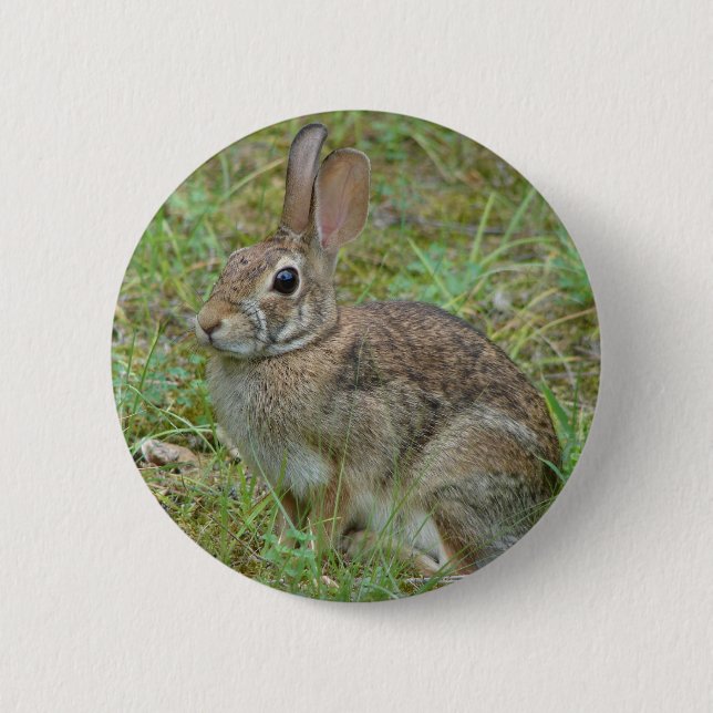 Wildkaninchen Ostküstenschwanz II Apparel & Gesche Button (Vorderseite)