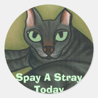 Wildkatze, Spay a Stray heute - Maßgeschneidert Runder Aufkleber