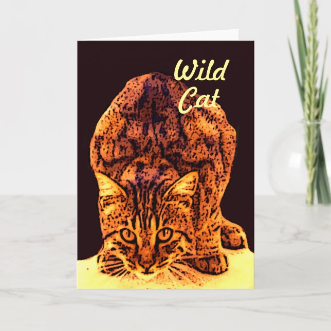 WILDKATZEN-KÄTZCHEN KARTE (Vorderseite)