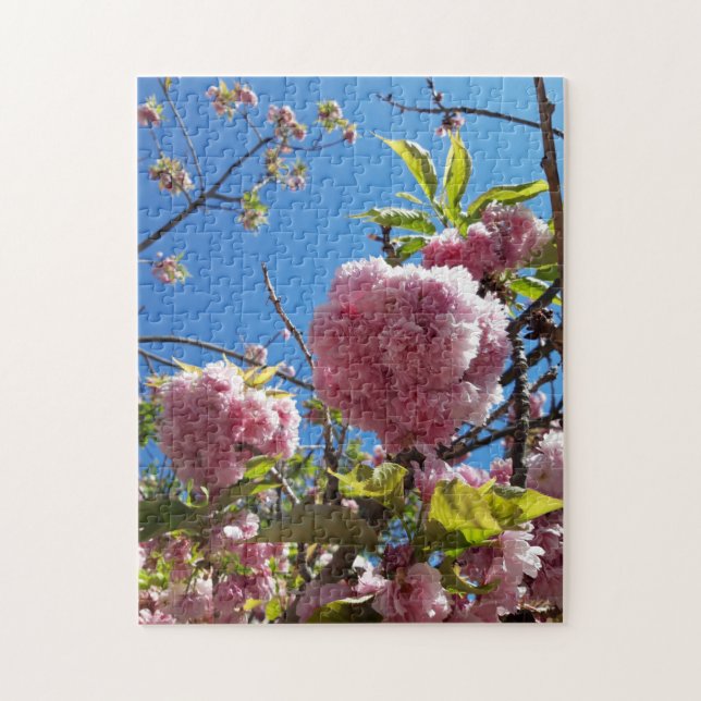 Wildkirsche Rosa Blossom Tree (Vertikal)