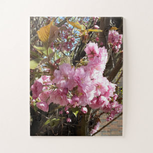 Wildkirsche Rosa Blossom Tree