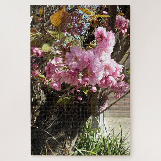 Wildkirsche Rosa Blossom Tree (Vertikal)