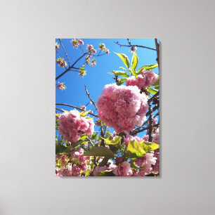 Wildkirsche Rosa Blossom Tree Leinwanddruck