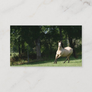 WildlederpferdeVisitenkarte 2 Visitenkarte