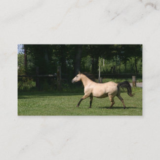 WildlederpferdeVisitenkarte Visitenkarte