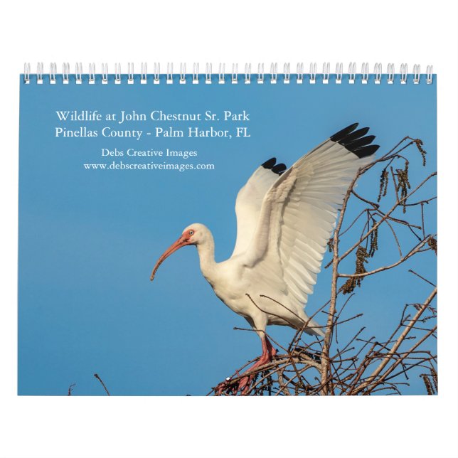 Wildlife at John Chestnut Sr. Park 2026 Kalender (Titelbild)