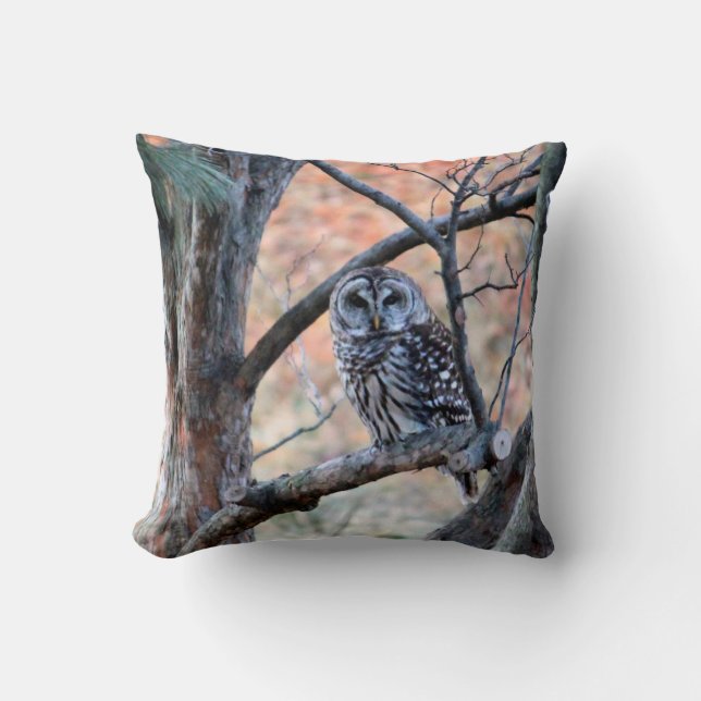 Wildlife Barred Owl Tree Foto Kissen (Vorderseite)