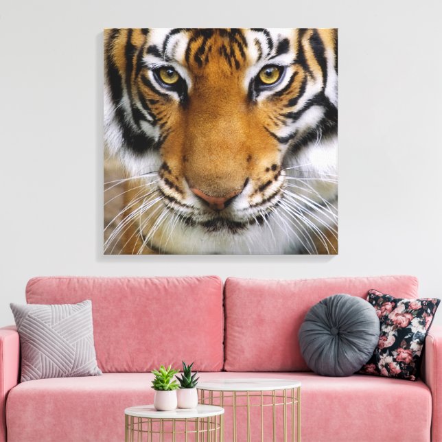 Wildlife Beautiful Tiger Piercing Brown Eyes Leinwanddruck (Insitu (Wohnzimmer))