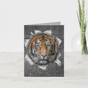 Wildlife Bengal Tiger habillé en plaisanterie